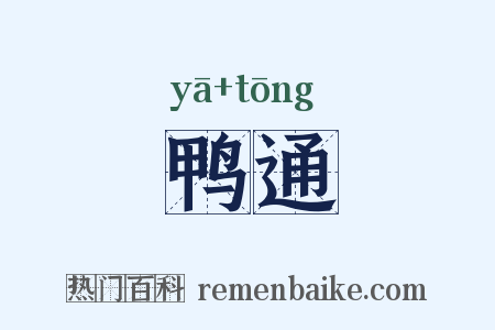 鸭通是什么意思的图片